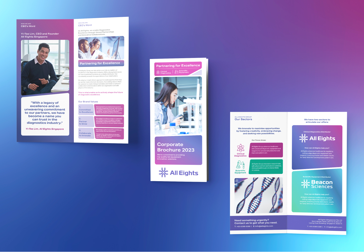 DL Brochure Business, Services and CapabilitiesExternal facing